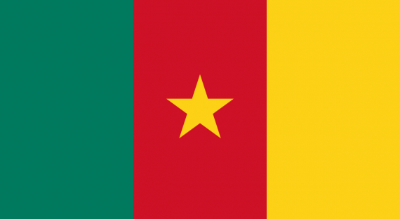 1200px-Flag_of_Cameroon.svg.png